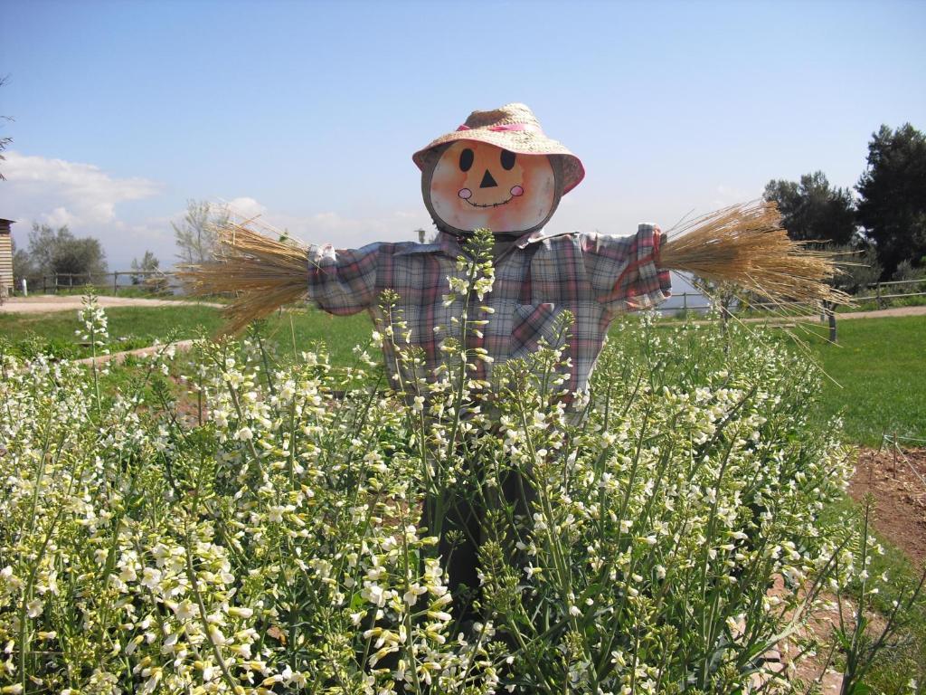 Vilar Rural De Cardona Ngoại thất bức ảnh