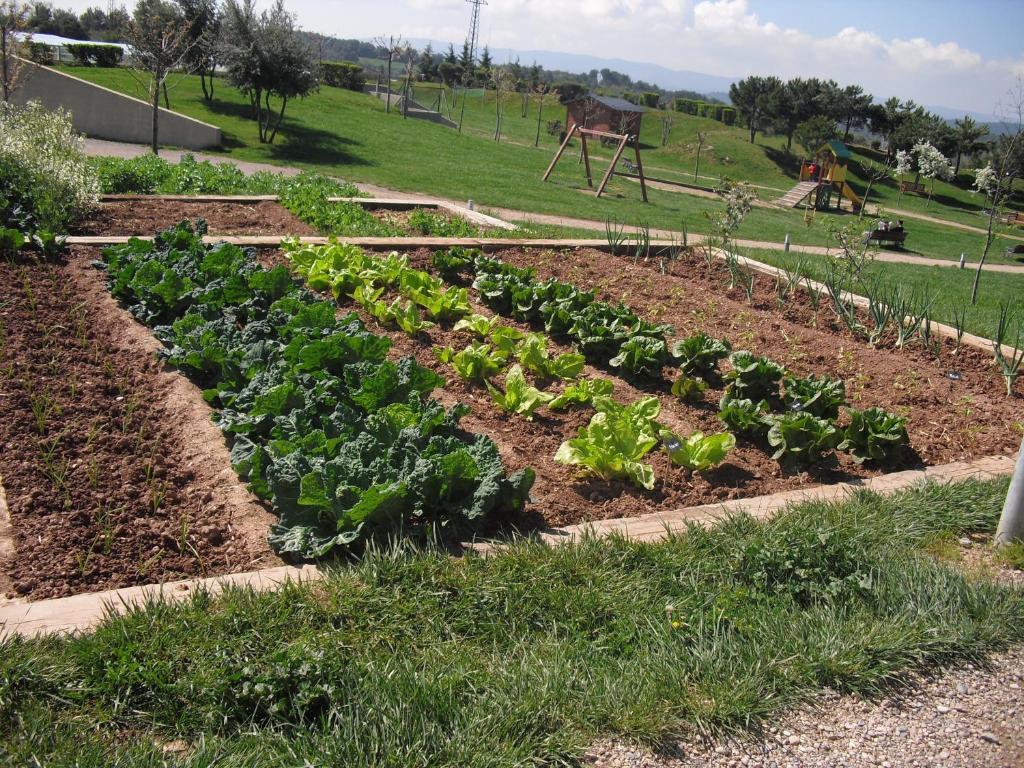 Vilar Rural De Cardona Ngoại thất bức ảnh